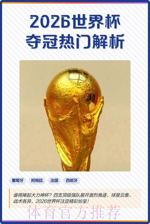 2026世界杯投注分析热门